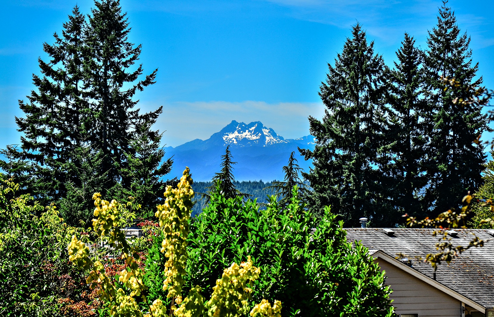 The Reserve at Bucklin Hill Image 26